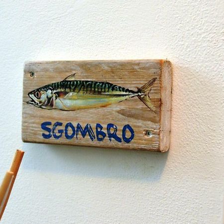 La Sciabbega B&B 포르토레카나티 외부 사진
